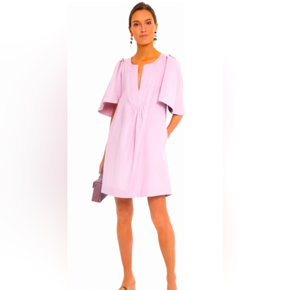 Tuckernuck Dresses & Skirts - Tuckernuck Pomander Place finley flutter Sleeve Tunic Pocket Dress XS